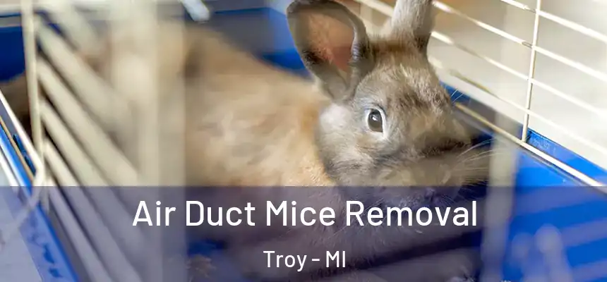 Air Duct Mice Removal Troy - MI