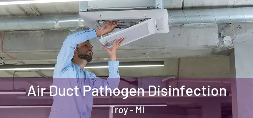  Air Duct Pathogen Disinfection Troy - MI