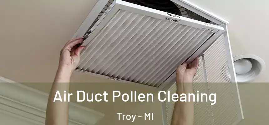  Air Duct Pollen Cleaning Troy - MI