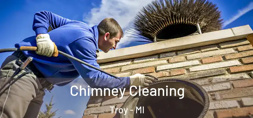  Chimney Cleaning Troy - MI