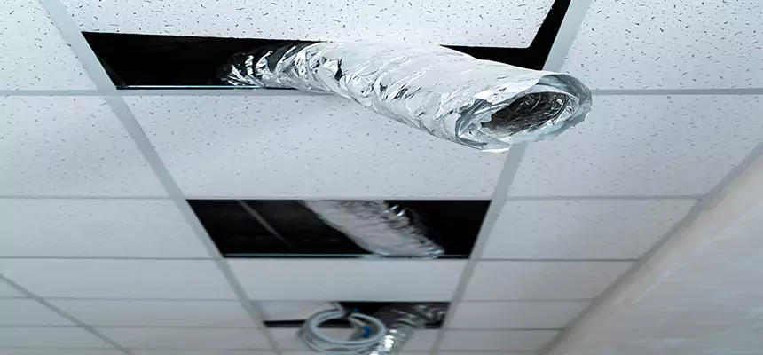 Our Air Duct Pet Hair Removal Services in Troy, MI