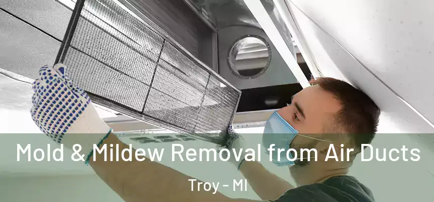  Mold & Mildew Removal from Air Ducts Troy - MI
