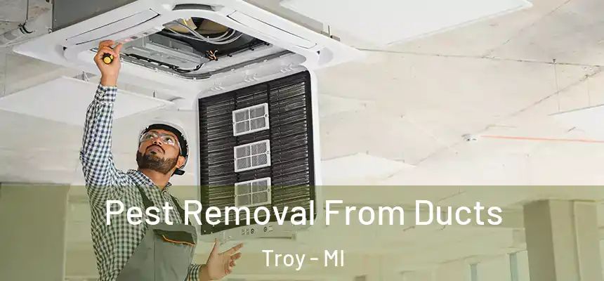  Pest Removal From Ducts Troy - MI