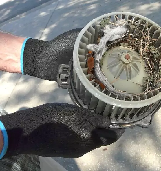 About Air Duct Mice Removal in Troy, MI