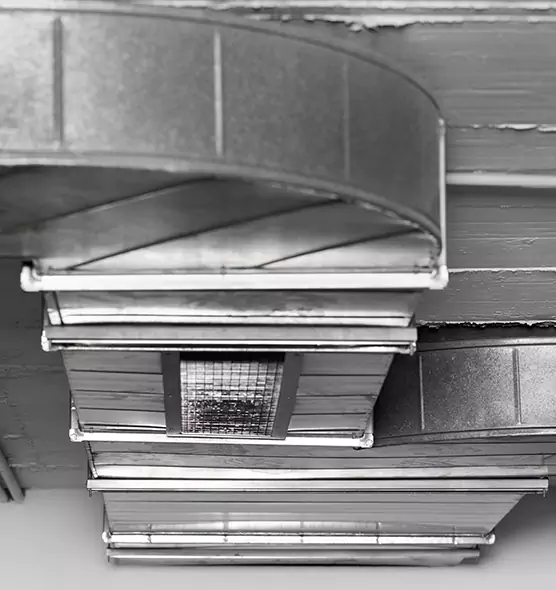 Professional Air Duct Pet Hair Removal in Troy, MI