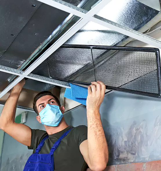 Professional Air Duct Pollen Cleaning in Troy, MI