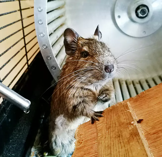 Why Homeowners & Businesses Trust Us Troy, MI