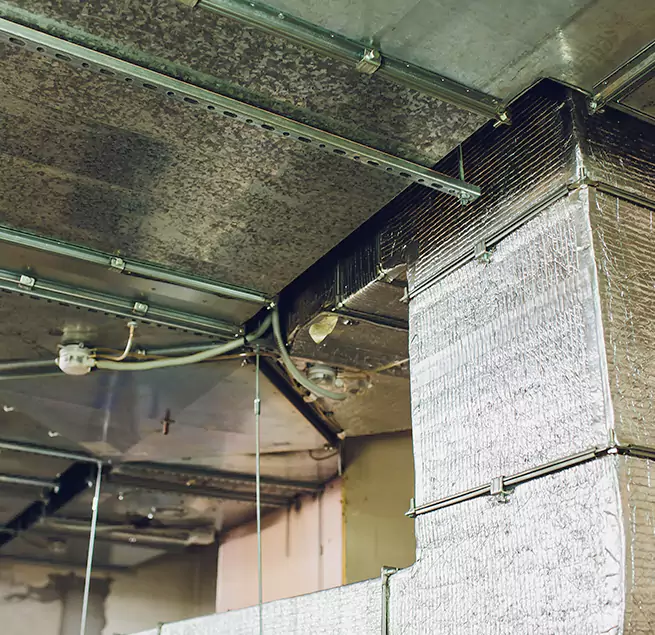 Why Homeowners & Businesses Trust Us in Troy, MI?